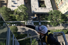 Bat Removal from High Rise In Houston, TX - Elite Wildlife Services