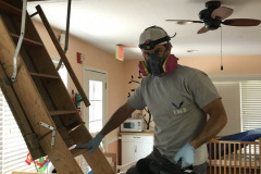 Getting rid of bats in Attic - Residential Bat Removal - Elite Wildlife Services