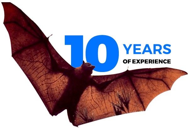 Elite Wildlife Services - 10 years of experience in Bat Removal Services