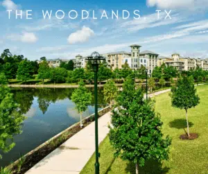 Bat Removal Services in The Woodlands, Texas - Residential Bat Removal - Commercial Bat Removal - Elite Wildlife Services
