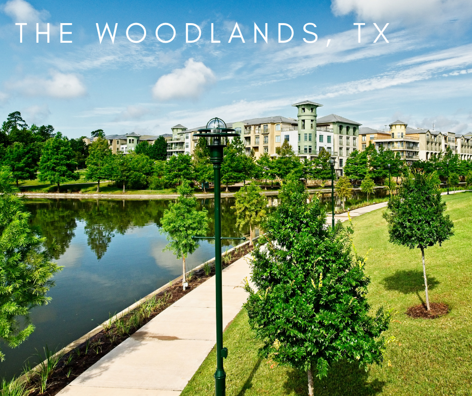 bat removal the woodlands, Tx Bat Removal Services in The Woodlands, Texas - Elite Wildlife Services