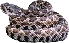 Request-a-Free-inspection-banner-image