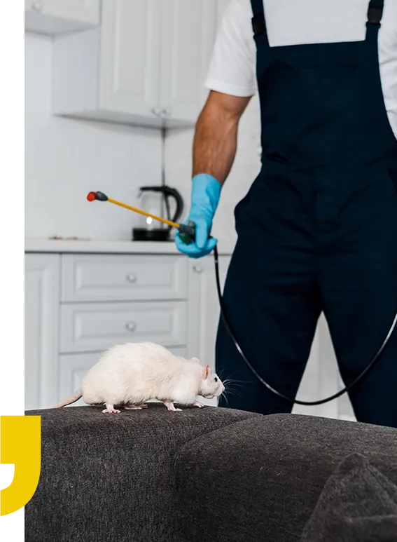 message-from-the-owner